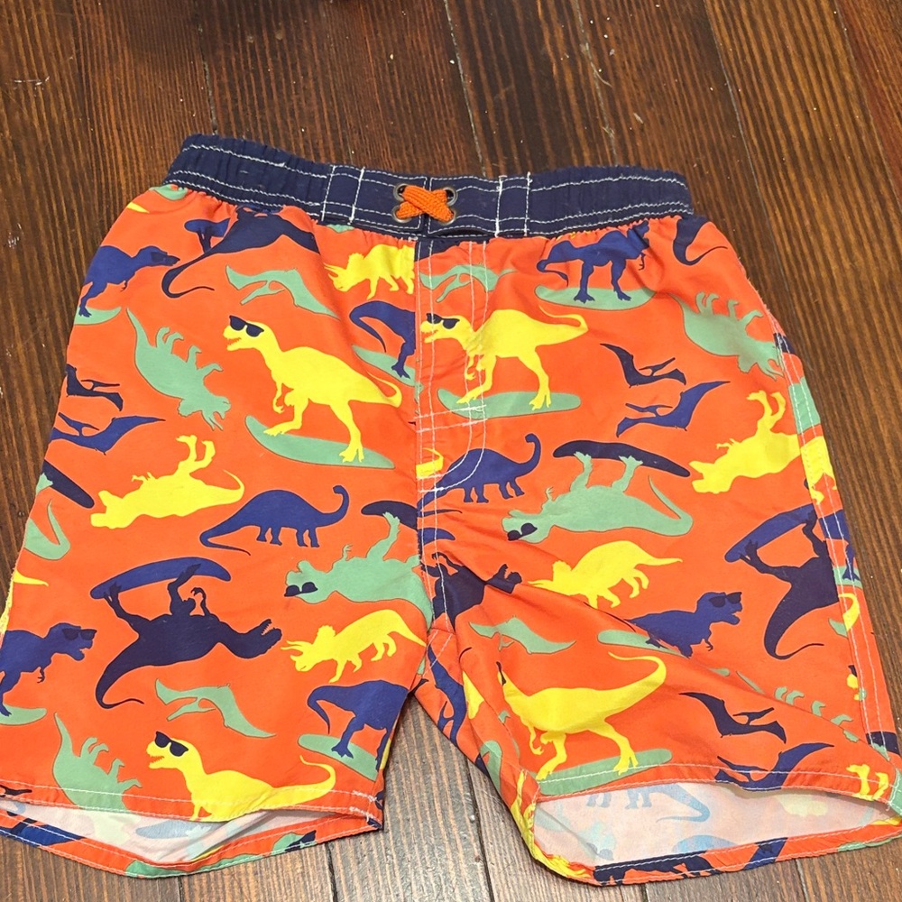 Vibrant Dinosaur Kids Swim Trunks
